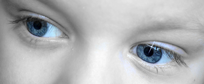 目は口ほどにものを言う 証拠は動物の目を見ればわかった 話 男と女の心理学